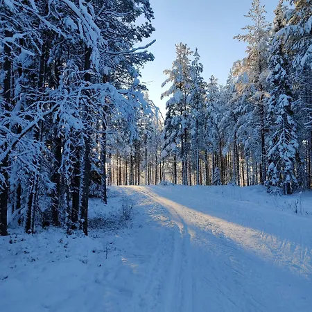 Boreal Bliss For 8 Persons, Sauna, Tub, Fireplace